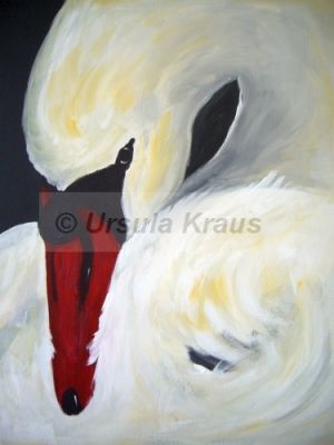 Schwan 3.JPG