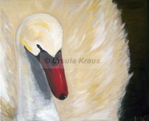 Schwan 1.JPG