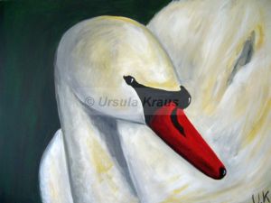 Schwan 2.JPG